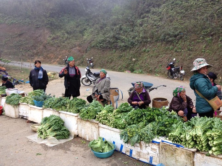 Spring colors of Sapa - ảnh 12